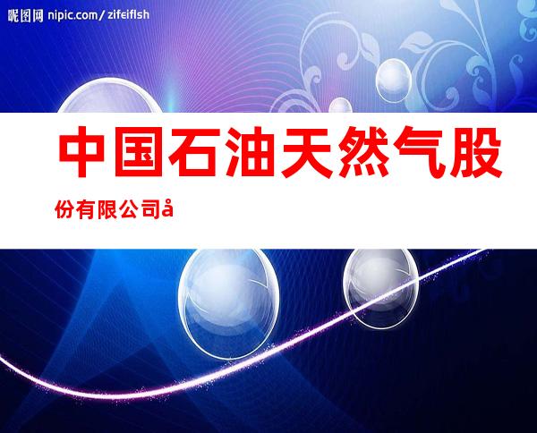 中国石油天然气股份有限公司内蒙古赤峰市宁城县小城子加油站